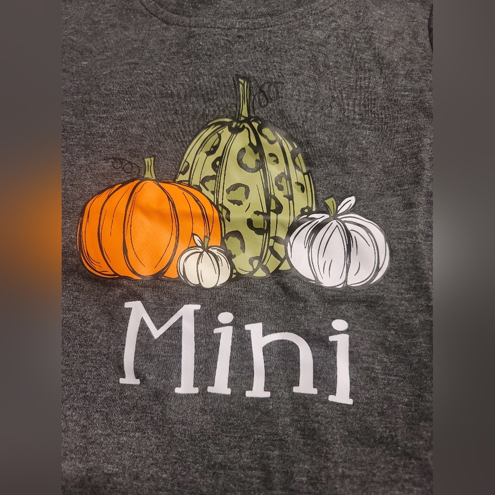 NWT toddler Mini Pumpkin Costume T Shirt 3t - Picture 2 of 6